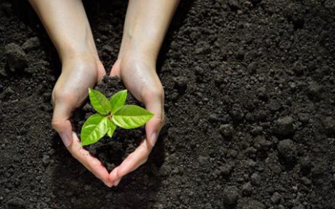 配资网站配资行业的诞生对股票市场有什么影响？