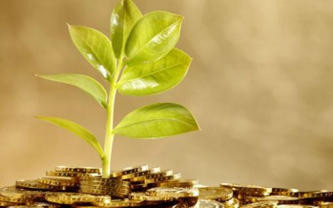 配资平台哪个好为什么配资讨论网好像都消失了？