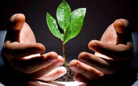 证券配资平台专业股票配资者到底优秀在哪里？