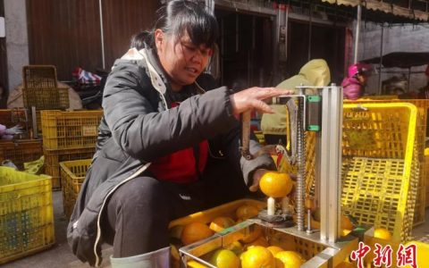 期货配资网 广西钦州浦北打造陈皮精深加工基地和陈皮产品交易中心