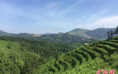 正规股票配资 江西召开民营经济高质量发展大会 提振民营企业发展信心