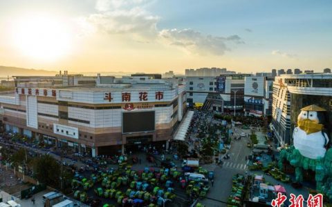 10倍配资 昆明斗南40年：从“一片花田”蝶变“亚洲花都”