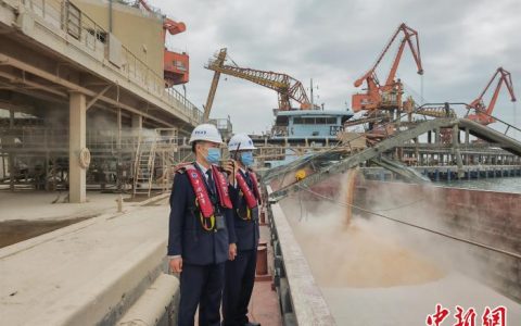 股票配资门户 首批南非3.93万吨进口大豆广州港到港接卸