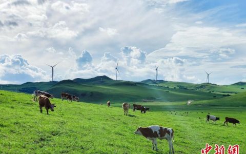 股票配资网站 年发电量超100亿千瓦时风电基地在内蒙并网发电