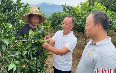 最好股票配资公司 湖南江永建立银发人才工作站 引才入村参与乡村振兴