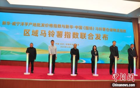 股票配资炒股 专家：中国马铃薯产业已到转型关键期 将迈向高质量发展