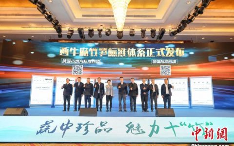 场外配资 广东清远“土特产”麻竹笋带动农民持续增收