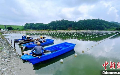 10倍配资 （乡村行·看振兴）江西万年：“万企兴万村”助力产业强起来村民富起来