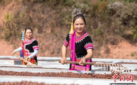 配资平台开户 中国（普洱）国际咖啡博览会将举行，参展企业已超200家