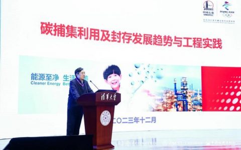 温州股票配资 中国工程院院士、中石化科协主席李阳：加大CCUS技术应用推动形成新的战略产业