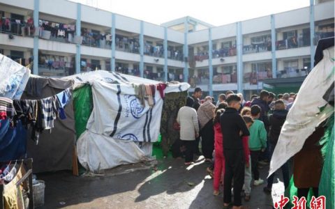 国内股票配资 报告称加沙持续冲突将引发饥荒 世粮署呼吁人道主义停火