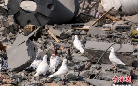 配资门户 美国投反对票 联合国安理会未能通过加沙停火决议草案