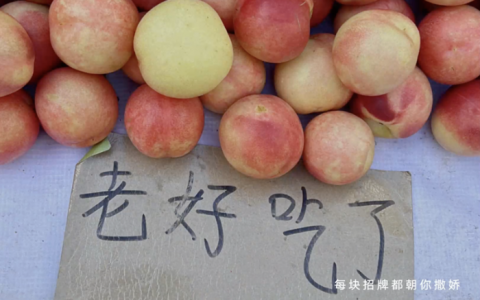 配资之家 拥抱快手，铁岭擦亮城市名片