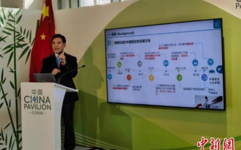 配资 蒋庆哲：中国实现“双碳”目标有四大路径选择