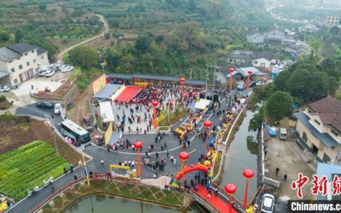 股票配资公司 （乡村行·看振兴）湖北点军：“柚”见乡村好“丰”景