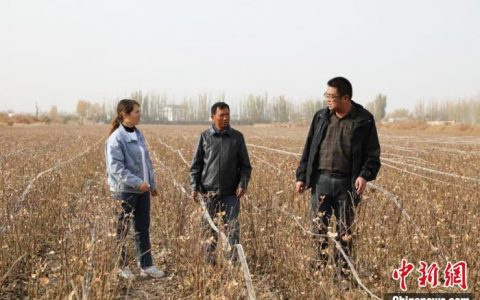 配资炒股 新疆兵团：高标准农田建设助推农业高质量发展
