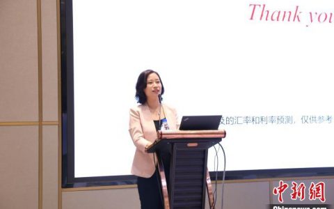 财富牛配资 中国工商银行金边分行举办主题论坛 分析亚太宏观经济发展态势