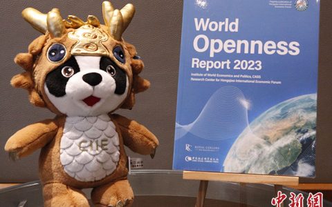 专业股票配资平台 进博会暨虹桥论坛推介座谈会在日内瓦举办