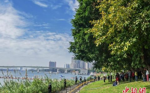 广州期货配资 广西南宁城市运行管理“一网统管” 智慧赋能“一体联动处置”