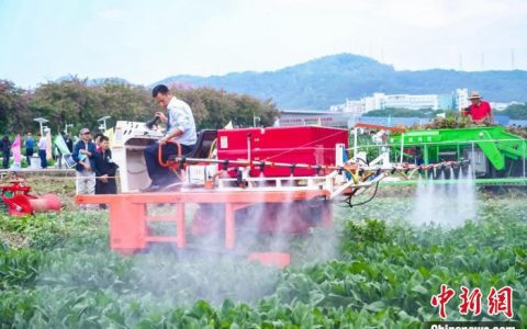 证券配资平台 广东聚力打造世界级种业创新高地