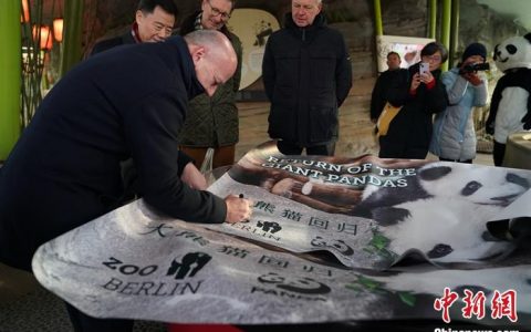10倍配资 柏林动物园举办“梦想”“梦圆”大熊猫纪念牌揭幕仪式