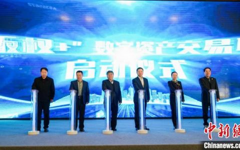 在线炒股配资 打造西部文化数字资产服务平台 “版权+”文化数字资产交易平台正式发布