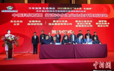 股票配资网173 黑龙江“冷水鱼”产业项目签约 签约金额达88.46亿元