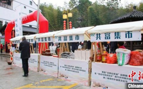 股指期货配资开户 品牌为媒 “浙南油库”青田唱响油茶产业共富谣