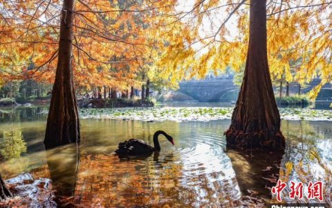 网上配资平台 江苏新发现文化和旅游资源35344个