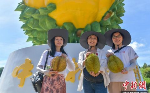 配资软件 海南将有序扩大榴莲种植面积 打造中国榴莲品牌
