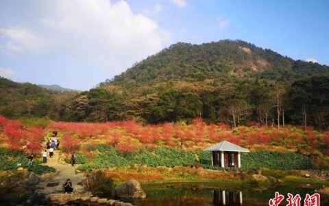 股票配资公司 元旦假期广州文旅消费热度攀升 特色民宿一房难求