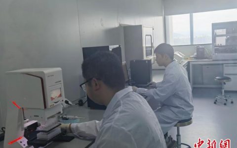 配资知识网 直击海南自贸港建设：通关和开放跑出“加速度”