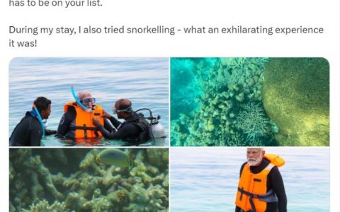 股票在线配资 印度总理莫迪晒浮潜照片 感慨“纯粹的幸福时刻”