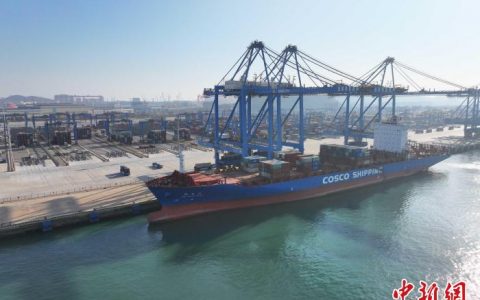 51配资 山东港口青岛港自动化码头第十次刷新装卸效率世界纪录