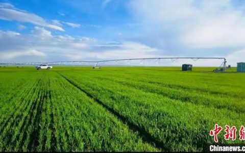 股票配资利息 中国“聚宝盆”第一产业增加值预计突破50亿元大关