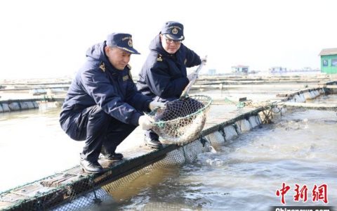 上海股票配资 浙江象山海鱼“闯”世界 “游”出“共富密码”