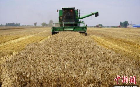 配资知识网 “中原粮仓”河南多举措推动粮食节约和反食品浪费