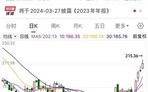 外资巨头唱多，比亚迪AH股齐大涨，这些股也被积极看好！北上资金“报复性”大手笔加仓（附名单）