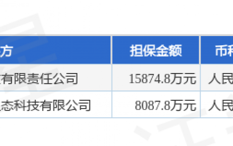 中原环保披露2笔对外担保，被担保公司达2家