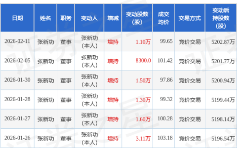惠城环保：2月11日高管张新功增持股份合计1.1万股
