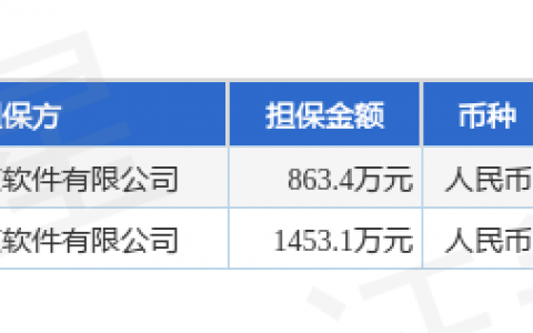 新点软件披露2笔对外担保，被担保公司2家