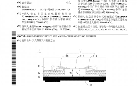 国星光电公布国际专利申请：“发光器件及其制备方法”