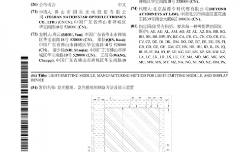 国星光电公布国际专利申请：“发光模组、发光模组的制备方法及显示装置”
